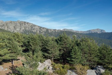 İspanya 'nın Madrid eyaleti Cercedilla belediyesinin Fuenfria Vadisi' ndeki Vicente Aleixandre gözcülerinden Guadarrama Dağları manzarası