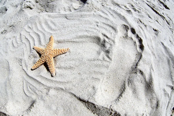 Sjöstjärnor och fotavtryck i vit sand — Stockfoto