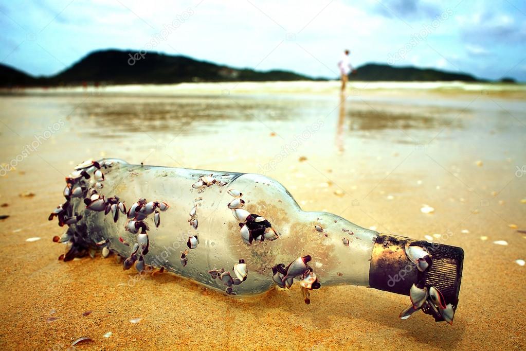 Bottle with seashells washed ashore.