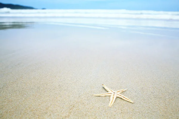Fondo con playa paradisíaca y estrellas de mar en la arena . —  Fotos de Stock