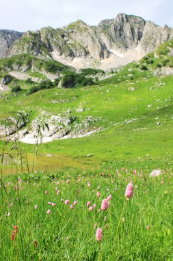 Güzel Dağlar Manzarası