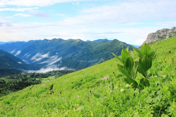 Beau paysage de montagnes — Photo