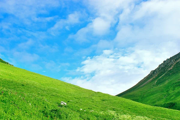 Grüne Hügel — Stockfoto