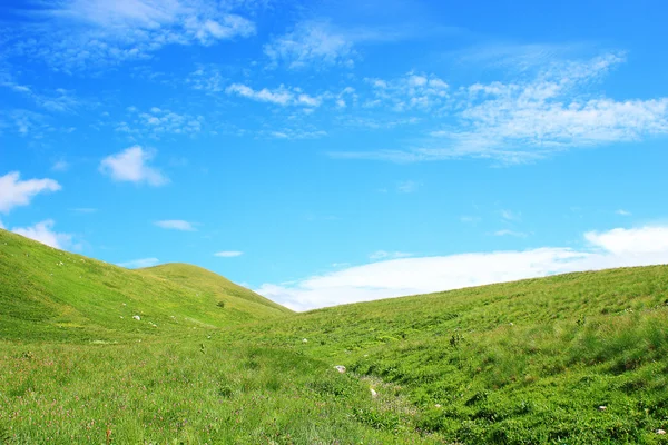 Grüne Hügel — Stockfoto