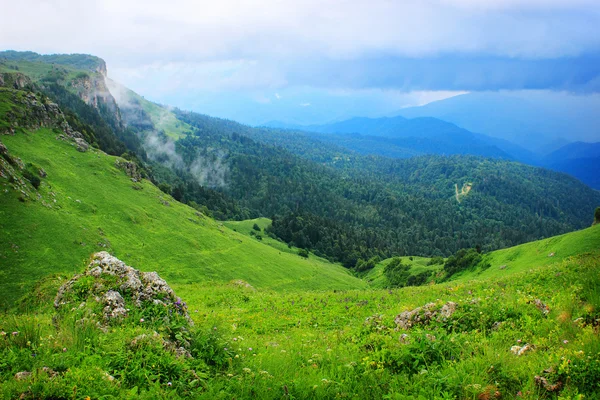 Krásné letní hory — Stock fotografie