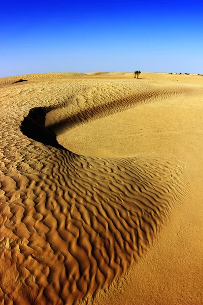 Sahara gurun lanskap dengan bukit pasir. Tunisia . — Stok Foto
