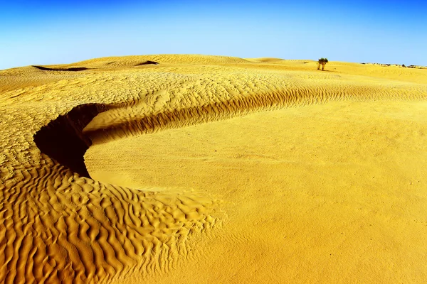 Sahara pouštní krajina s dunami. Tunisko. — Stock fotografie