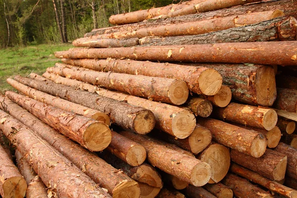 Logs — Stock Photo, Image