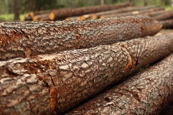 Log background — Stock Photo, Image