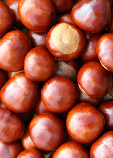 Chestnut background — Stock Photo, Image