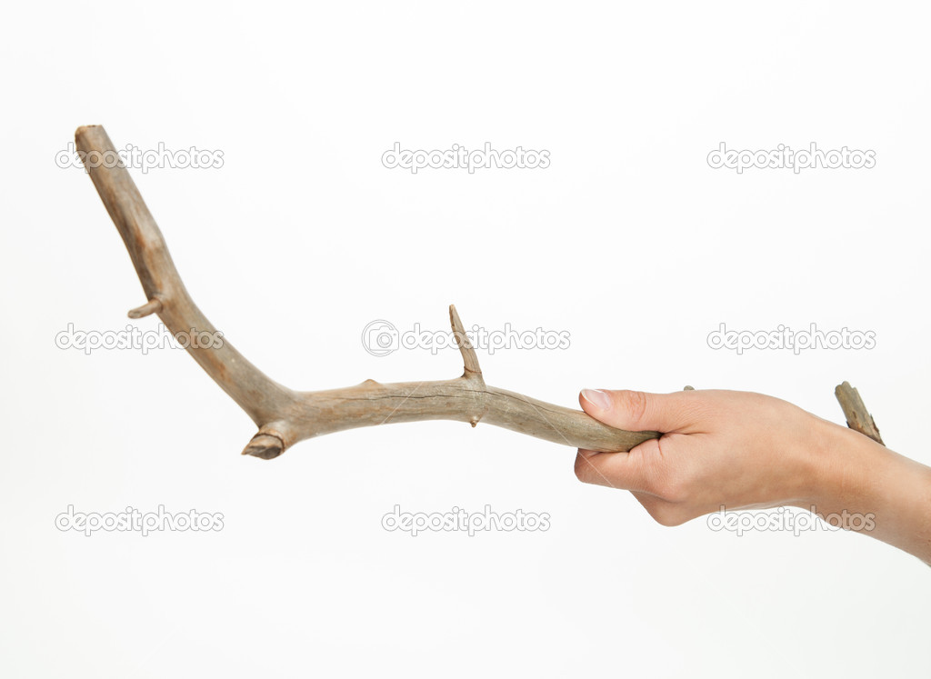 Hand holding a snag