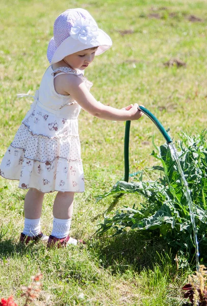 Liten flicka i en sommar park — Stockfoto