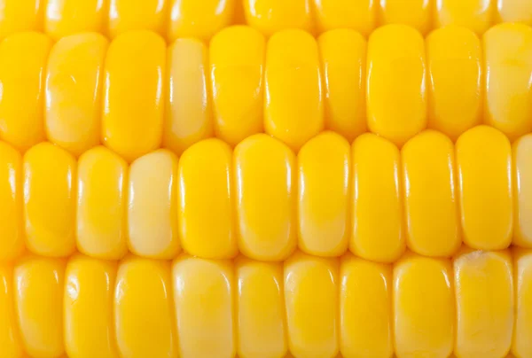 Boiled corn background — Stock Photo, Image