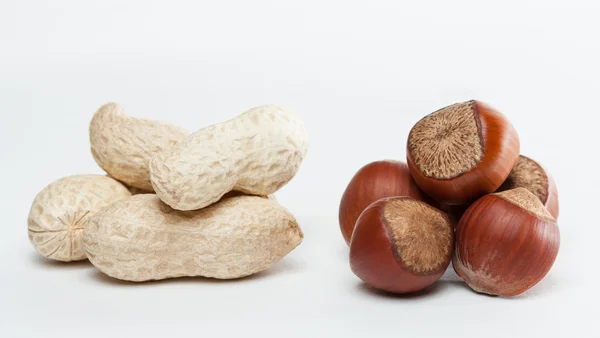 Handful of groundnuts and nazelnuts — Stock Photo, Image