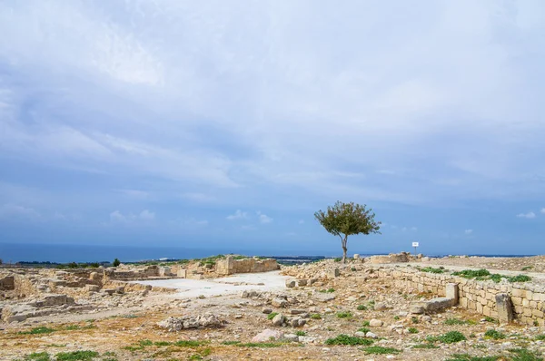 Kourion 的废墟 — 图库照片