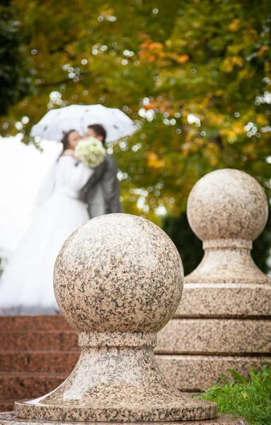 Hochzeitstag — Stockfoto