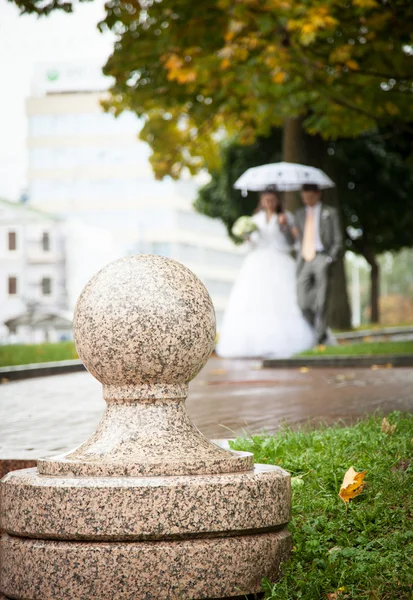 Bruden och brudgummen i en bröllopsdag — Stockfoto