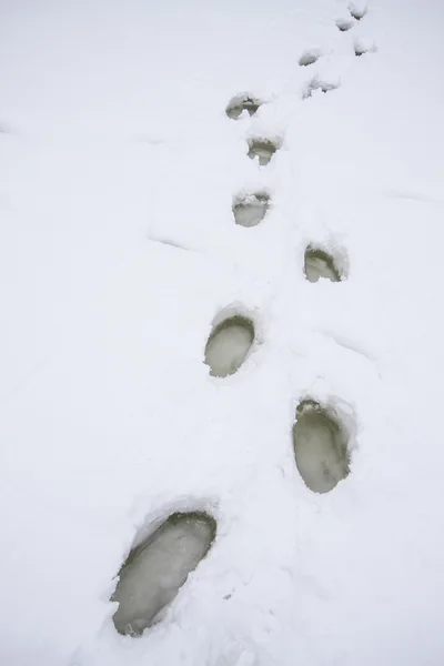 Empreintes de pas sur sol neigeux — Photo