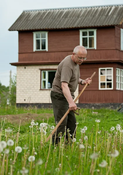 Mann bewegt Gras — Stockfoto