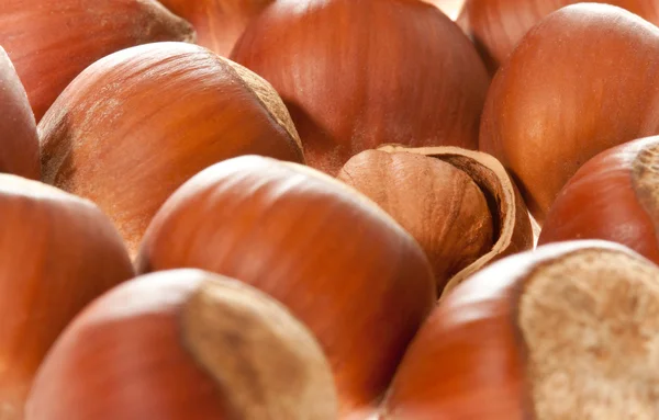 Hazelnuts — Stock Photo, Image