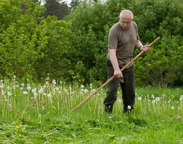 Mann bewegt Gras — Stockfoto