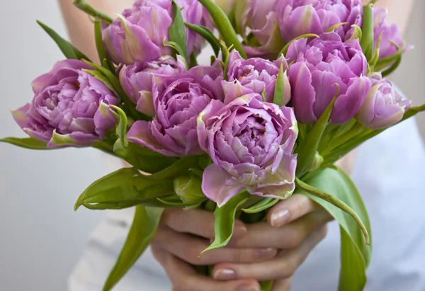 Куча тюльпанов в руках у женщины. — стоковое фото