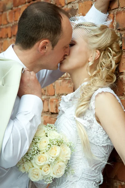 Kissing bride and groom — Stock Photo, Image