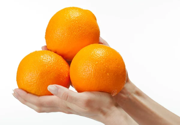 Mãos humanas segurando laranjas apetitosas — Fotografia de Stock