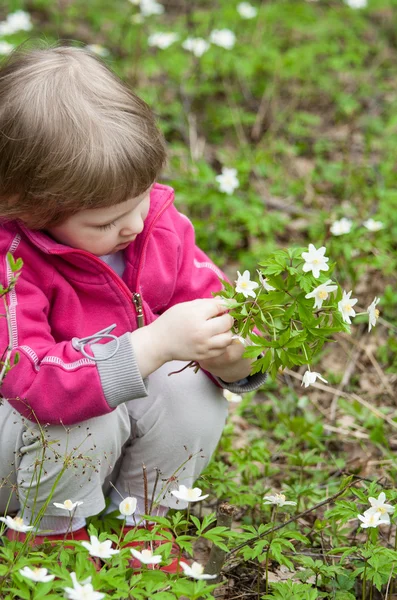 Little girl picking snowdrops — Stock Photo, Image