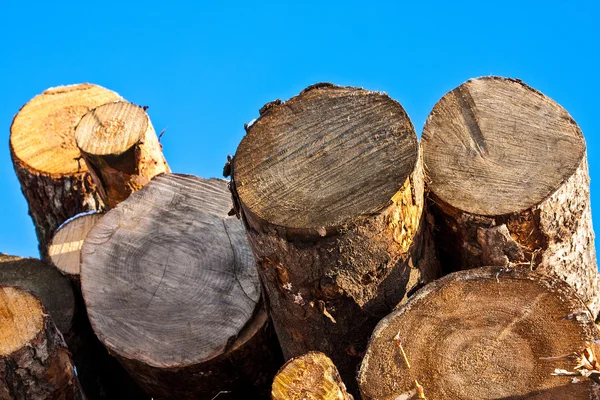 Holz auf Himmelshintergrund — Stockfoto