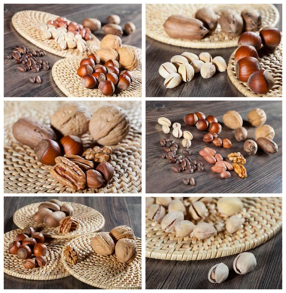 Collection of nut images — Stock Photo, Image