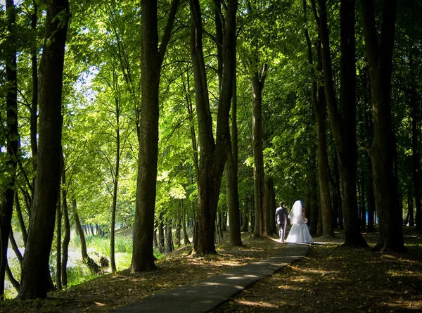 Coppia sposata che cammina in un parco estivo — Foto Stock