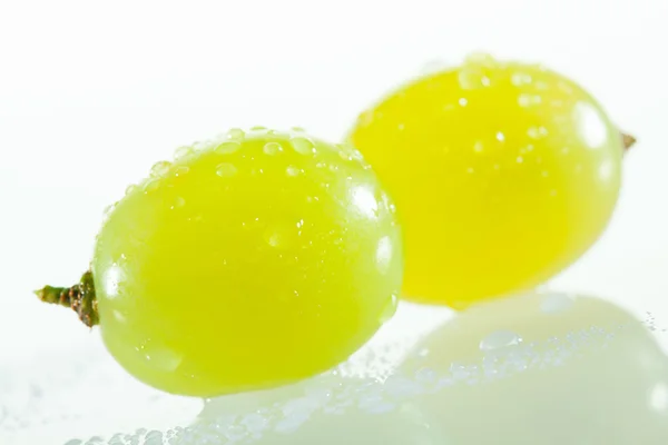 Uvas verdes suculentas — Fotografia de Stock