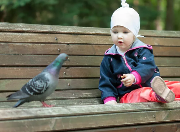 Jolie petite fille nourrissant un pigeon — Photo