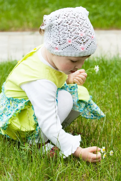 Little girl picking camomiles — Stock Photo, Image