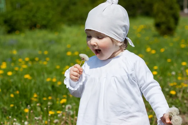 Klein meisje blazen op een witte paardebloem — Stockfoto