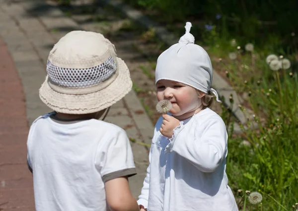 Små barn i en sommar park — Stockfoto