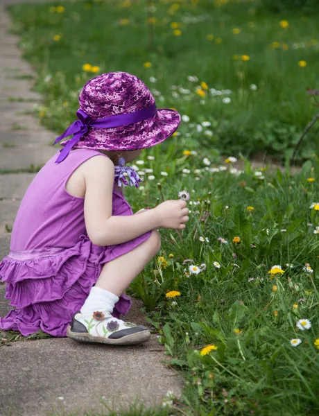 Красивая маленькая девочка собирает маргаритки — стоковое фото
