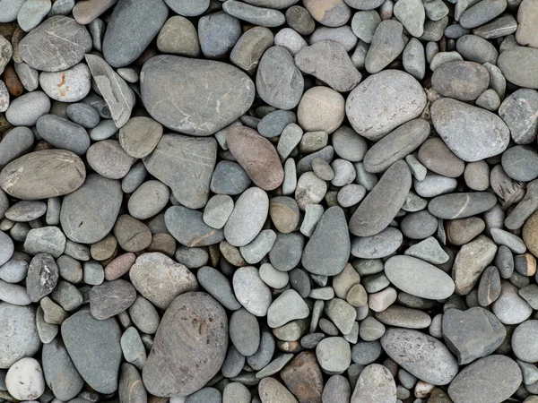 小石の多い海岸の背景 — ストック写真