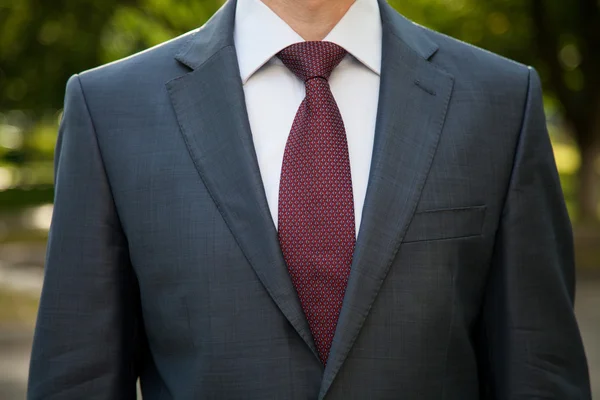 Retrato del hombre de negocios — Foto de Stock