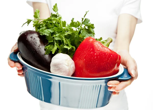 Female hands holding stew pan with fresh vegetables — Stock Photo, Image