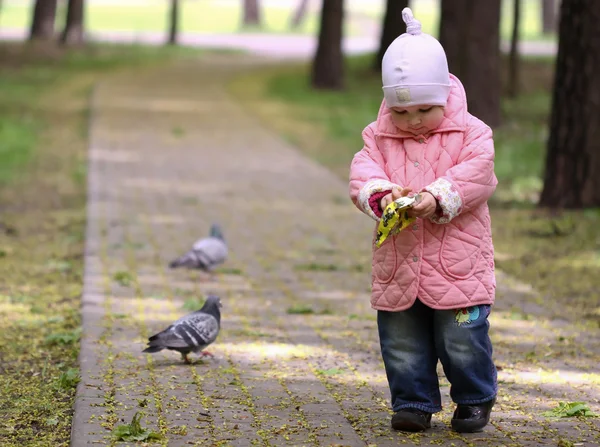 Прогуливающийся ребенок в парке — стоковое фото