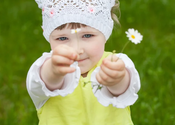 Vackra lilla tjej anläggning camomiles — Stockfoto