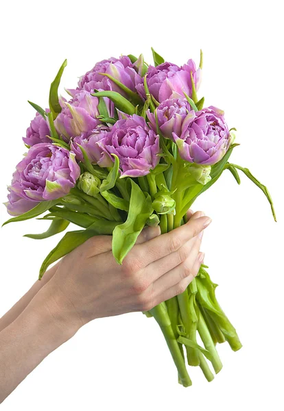 Hands holding bunch of flowers — Stock Photo, Image