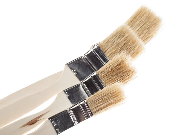 Group of paint brushes — Stock Photo, Image