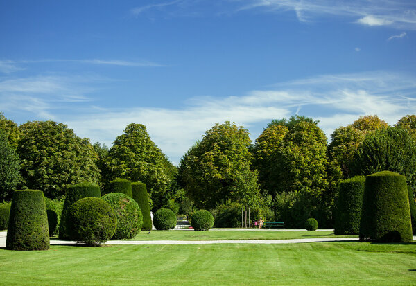 Beautiful summer Schonbrunn park