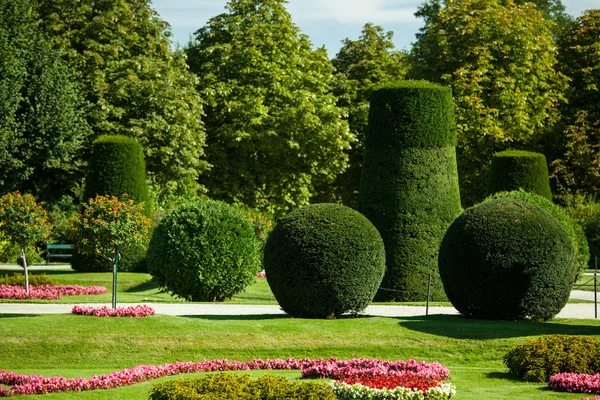 Krásné letní schonbrunn park — Stock fotografie