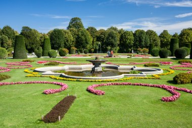güzel yaz schonbrunn park