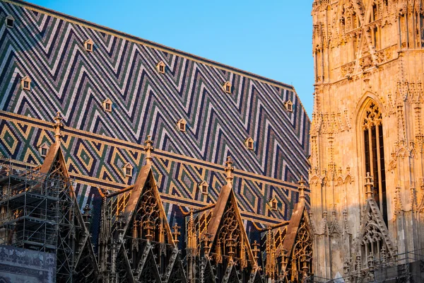 Fragment of St. Stephen's Cathedral (Stephansdom) — Stock Photo, Image