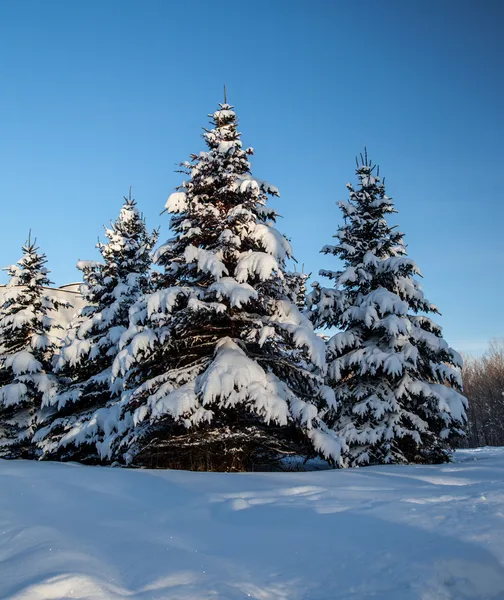 Paesaggio invernale — Foto Stock